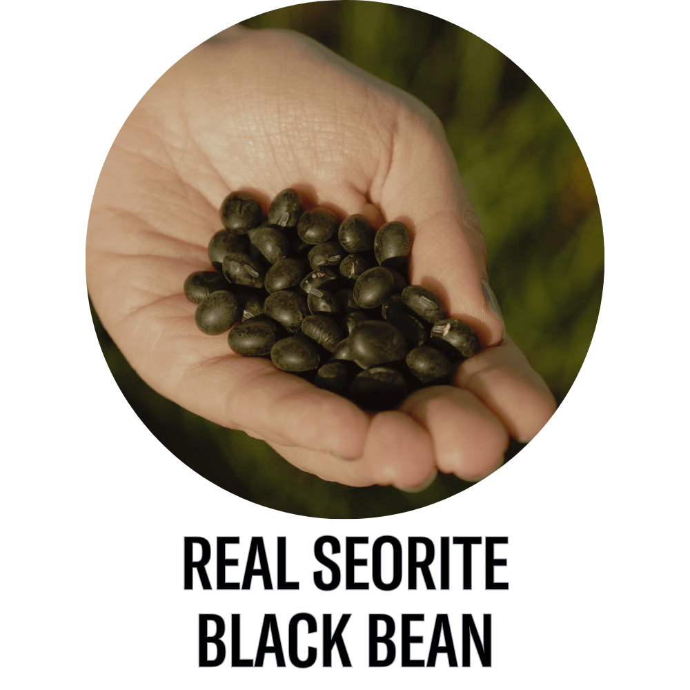 Roasted Black Bean Protein Shake