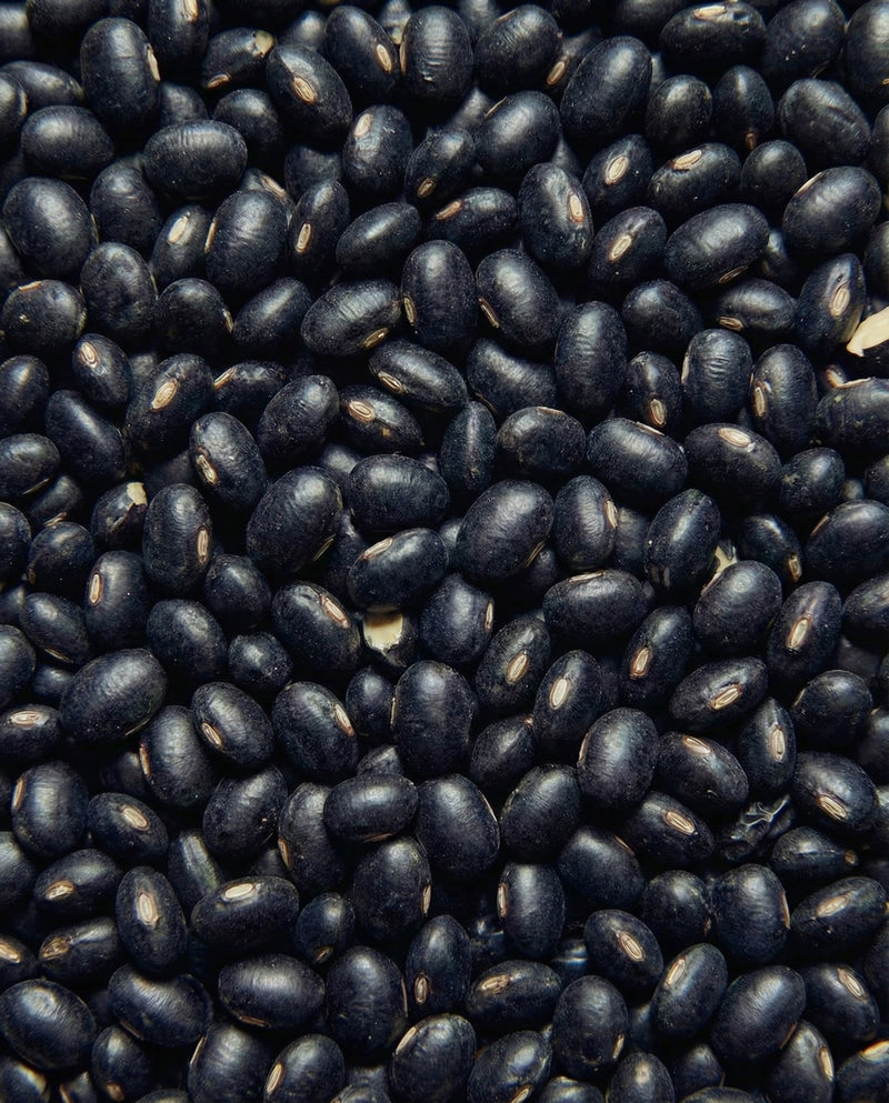 Real Soritae Black Bean