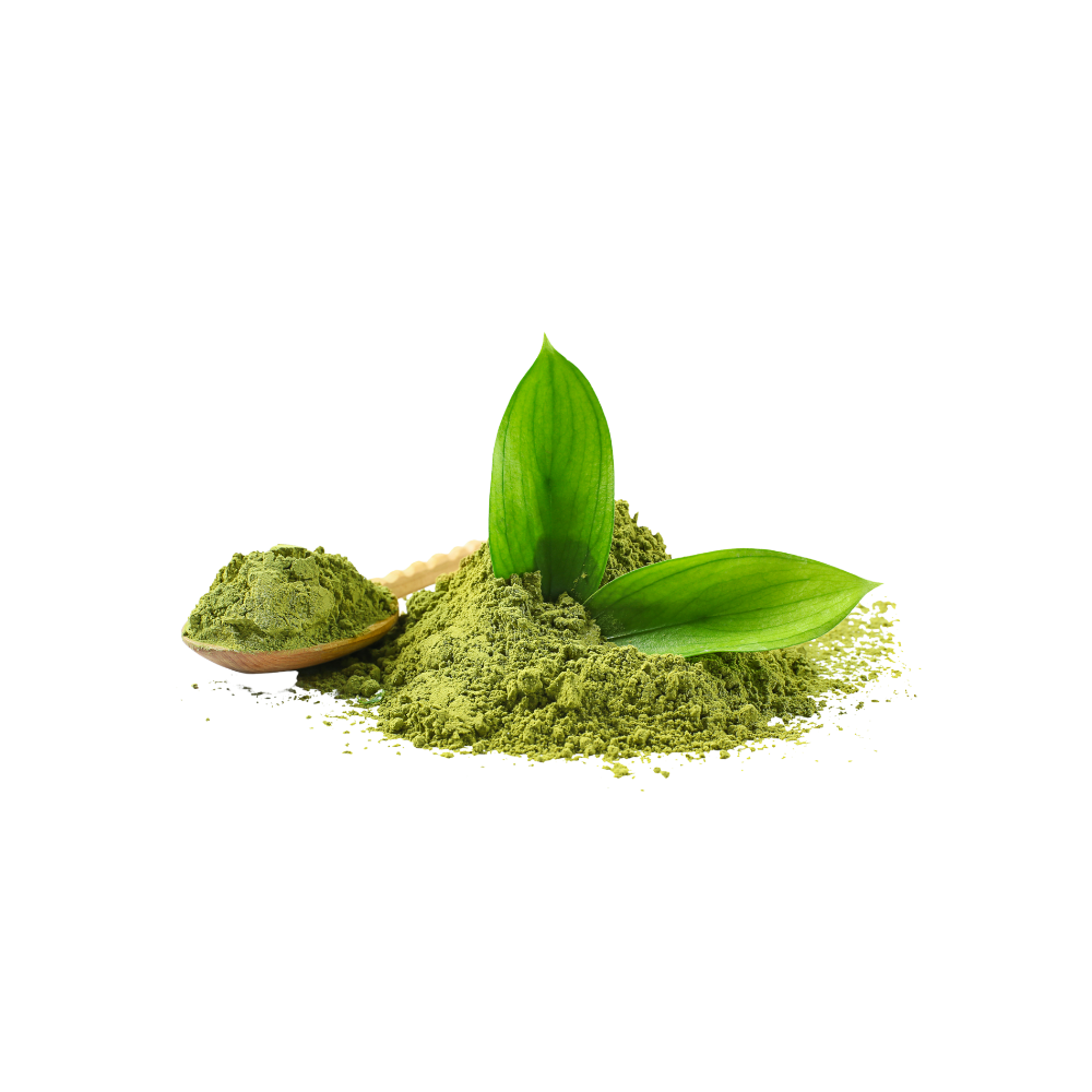 Spring Matcha Powder
